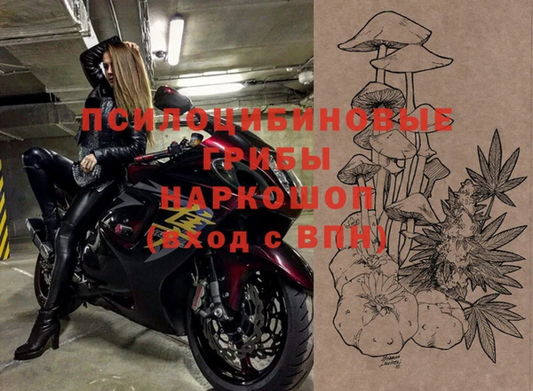 Альфа ПВП Алексеевка