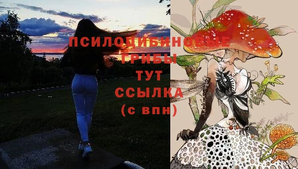 MESCALINE Новокубанск