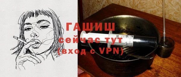гидра Новодвинск