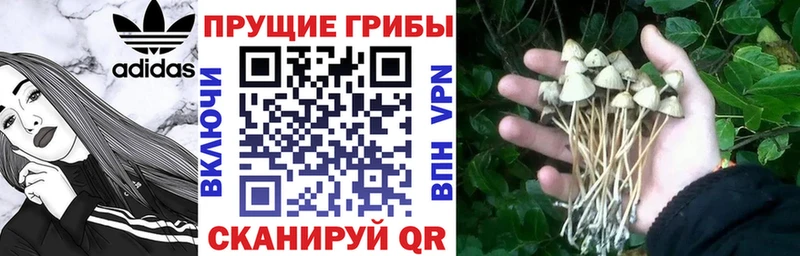 Галлюциногенные грибы MAGIC MUSHROOMS  Невьянск 